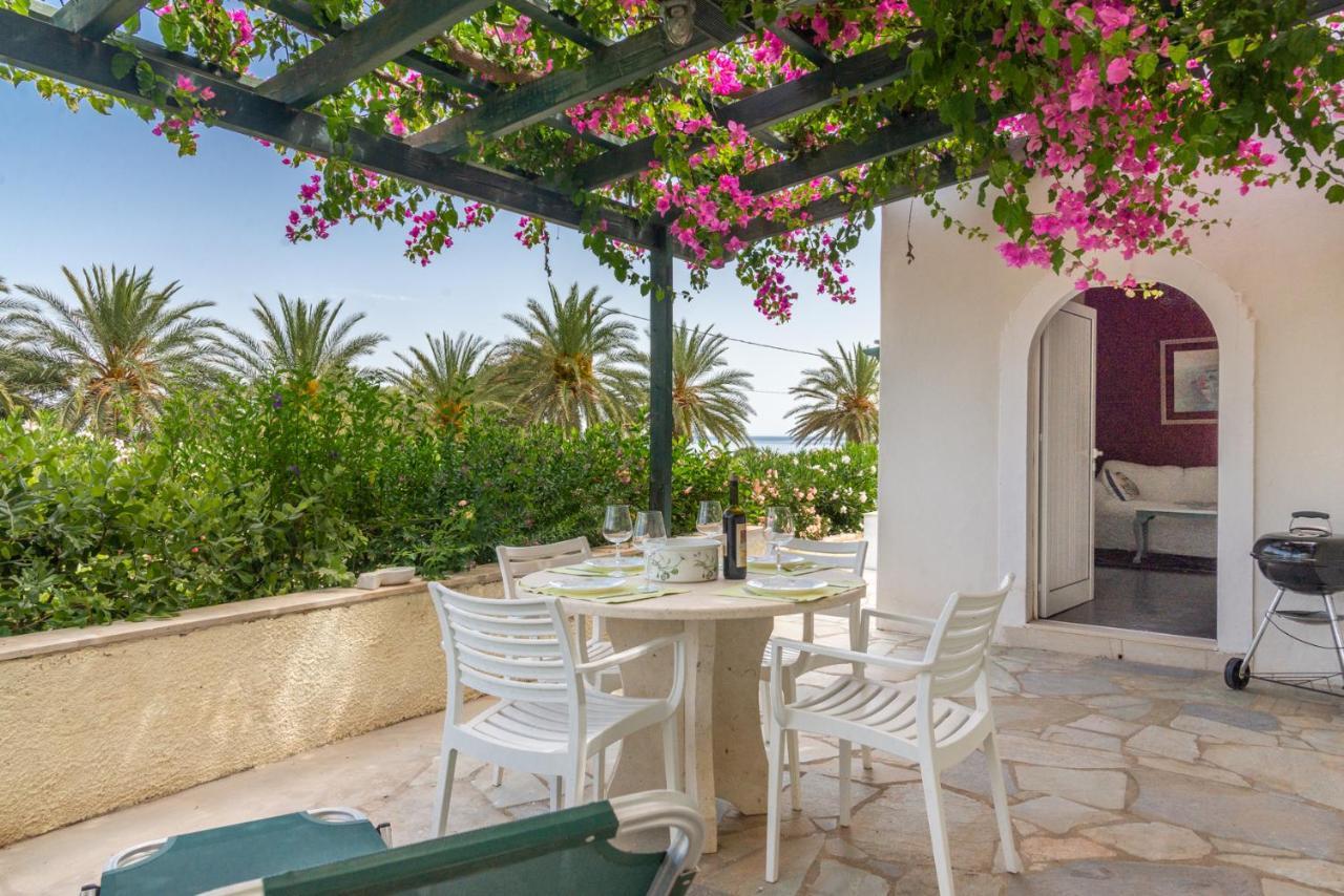 Bougainvillea House In Crete Sitia  Zewnętrze zdjęcie